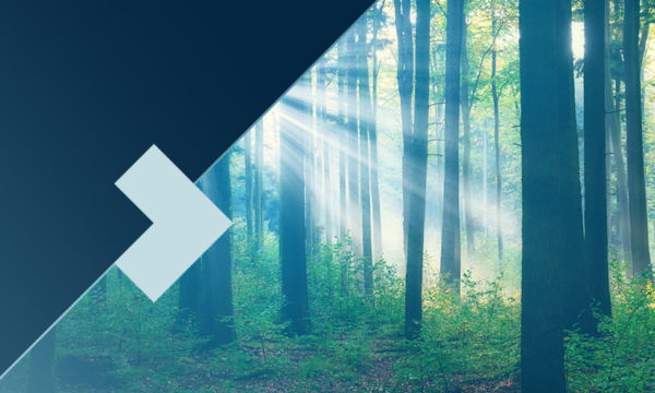 Image for Partnering with Communities